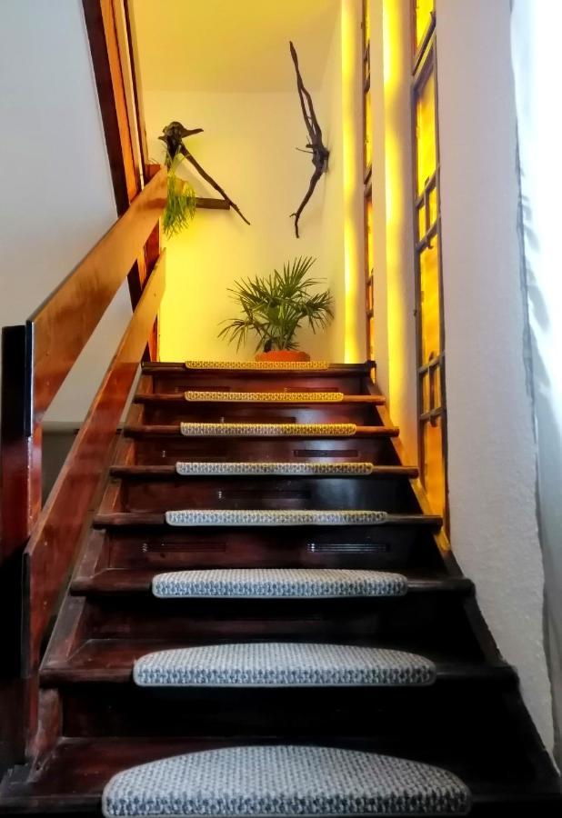 Apartament Sarco Villa Vatra Dornei Exterior foto