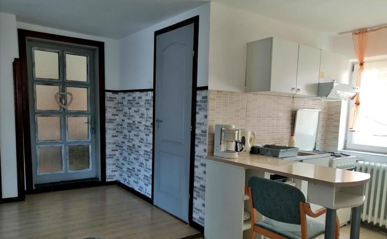 Apartament Sarco Villa Vatra Dornei Exterior foto