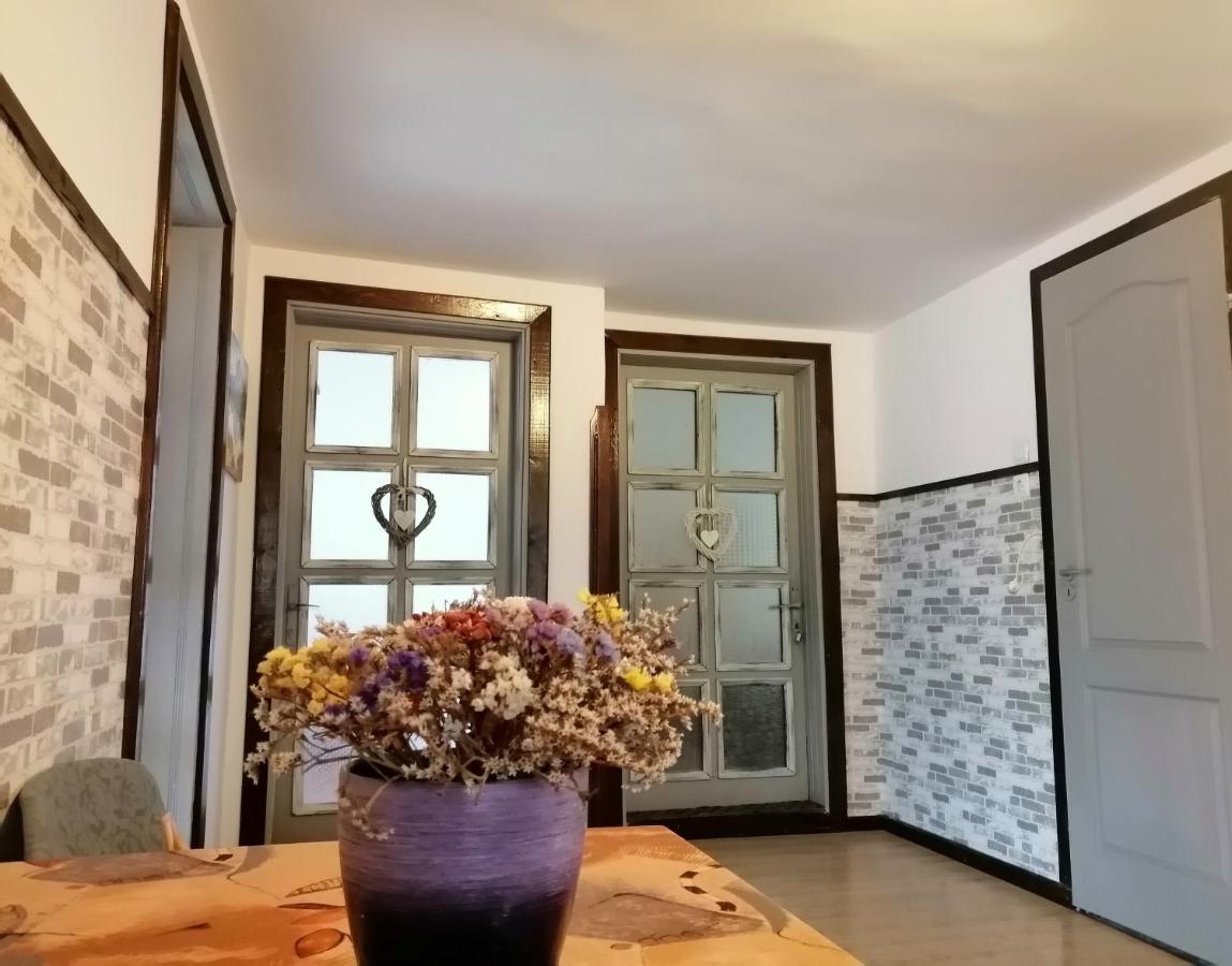 Apartament Sarco Villa Vatra Dornei Exterior foto
