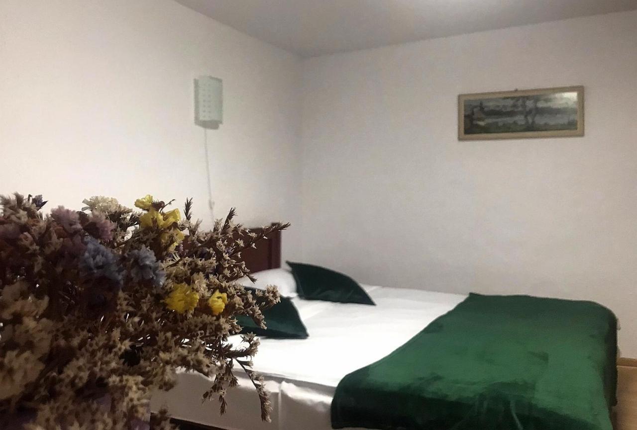 Apartament Sarco Villa Vatra Dornei Exterior foto