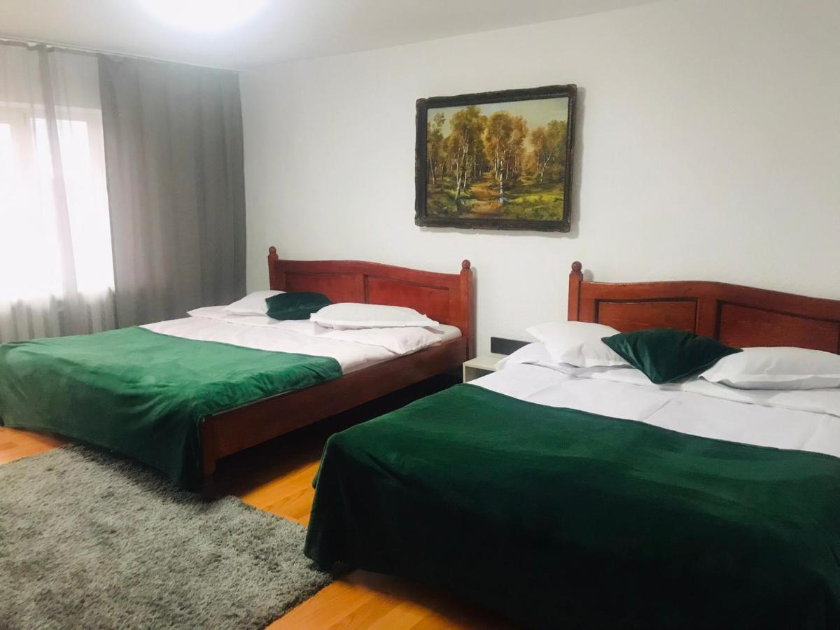 Apartament Sarco Villa Vatra Dornei Exterior foto